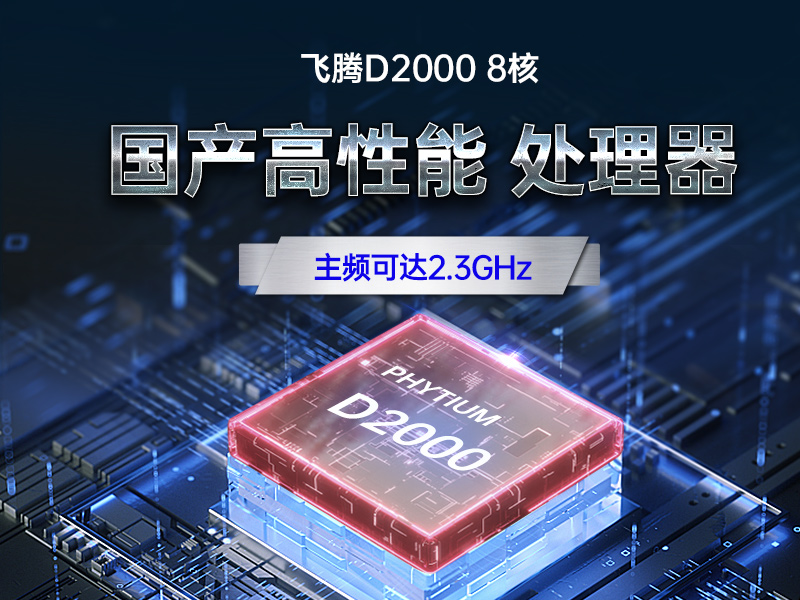 2U國產(chǎn)化工控機|安防監(jiān)控主機|DT-61025-QD2KMB